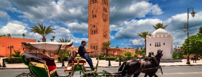 Discover Marrakech: A Tapestry of Timeless Charm