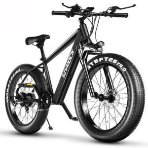 Professional Electric Bike