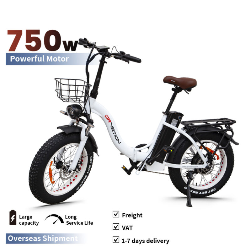 750W Folding Electric Bike