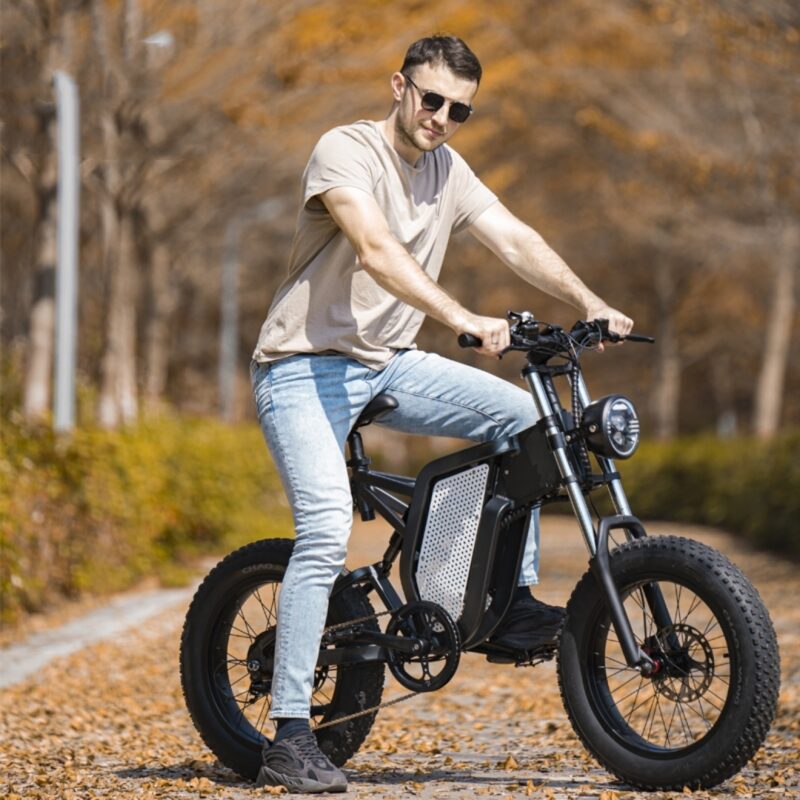 PowerPro Fat Tire Electric Bike