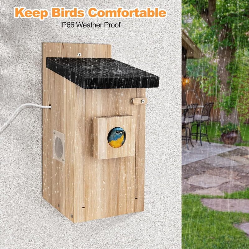 Smart Bird House With Camera,3MP Birdhouse Camera For Outdoors,Auto Capture Bird Videos & Motion Detection,Watch Bird Nesting & Hatching In Real Time,DIY Ideal Gift - Image 5